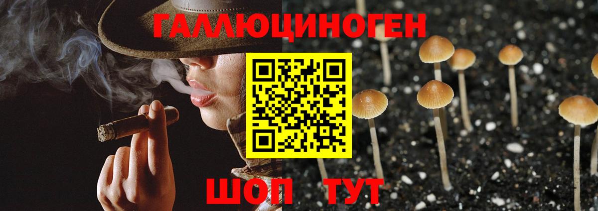Галлюциногенные грибы мицелий  Галлюциногенные грибы Psilocybine cubensis  Вход с VPN  Кинель 